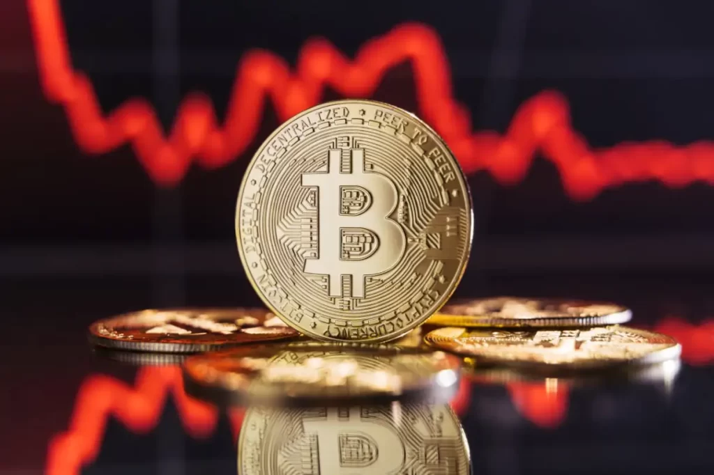 Controversial Economist Issues New Bitcoin Crash Warning
