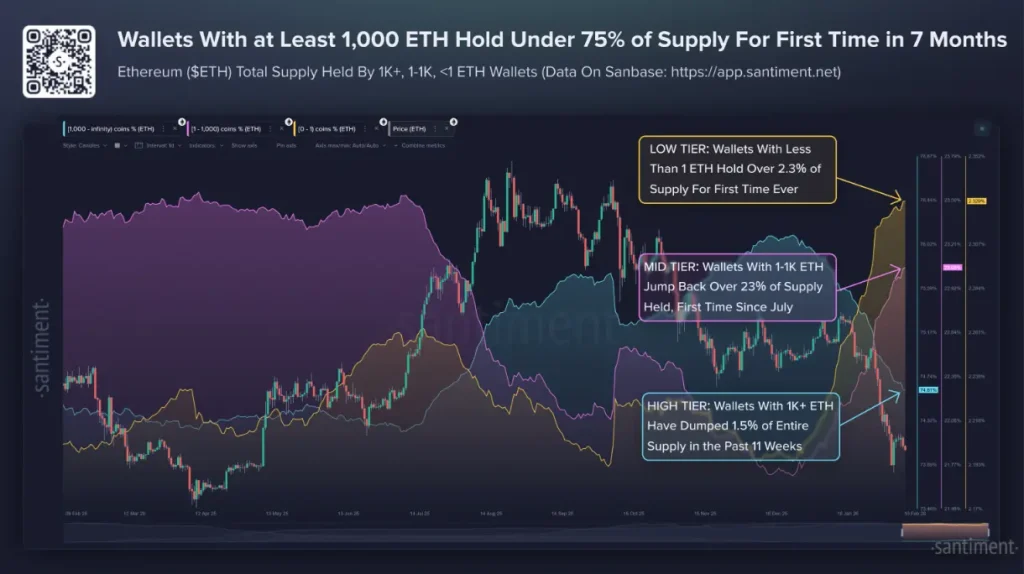 Ethereum whales versus retail.