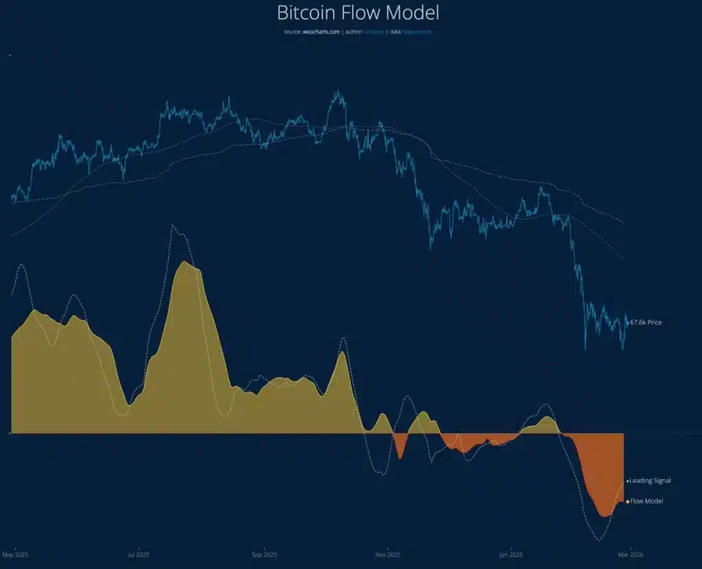 Bitcoin flow model.