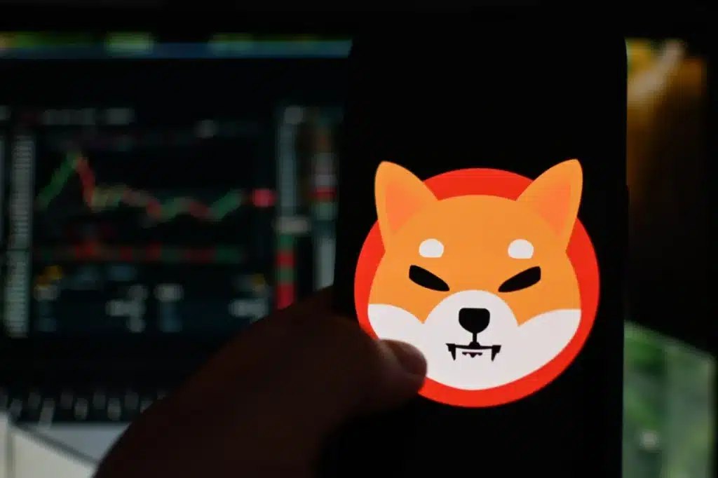 Shiba Inu Breakdown Signals Possible 30% Move