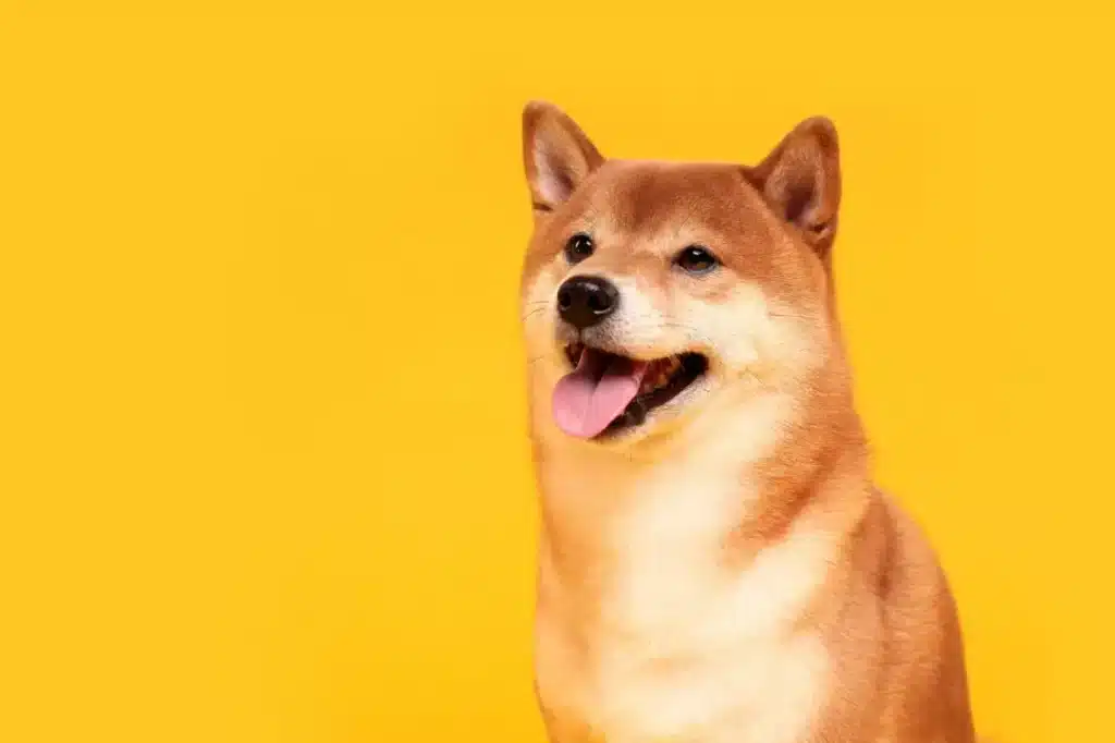 DOGE Forms Bullish Falling Wedge Against Bitcoin; What It Means