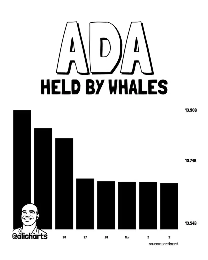 Cardano held by whales.