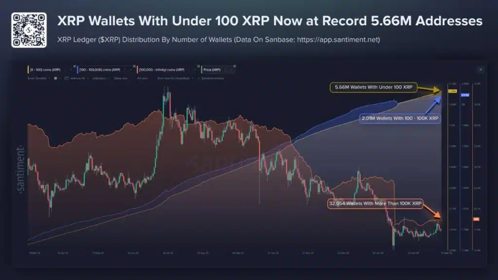 XRP ownership analysis.