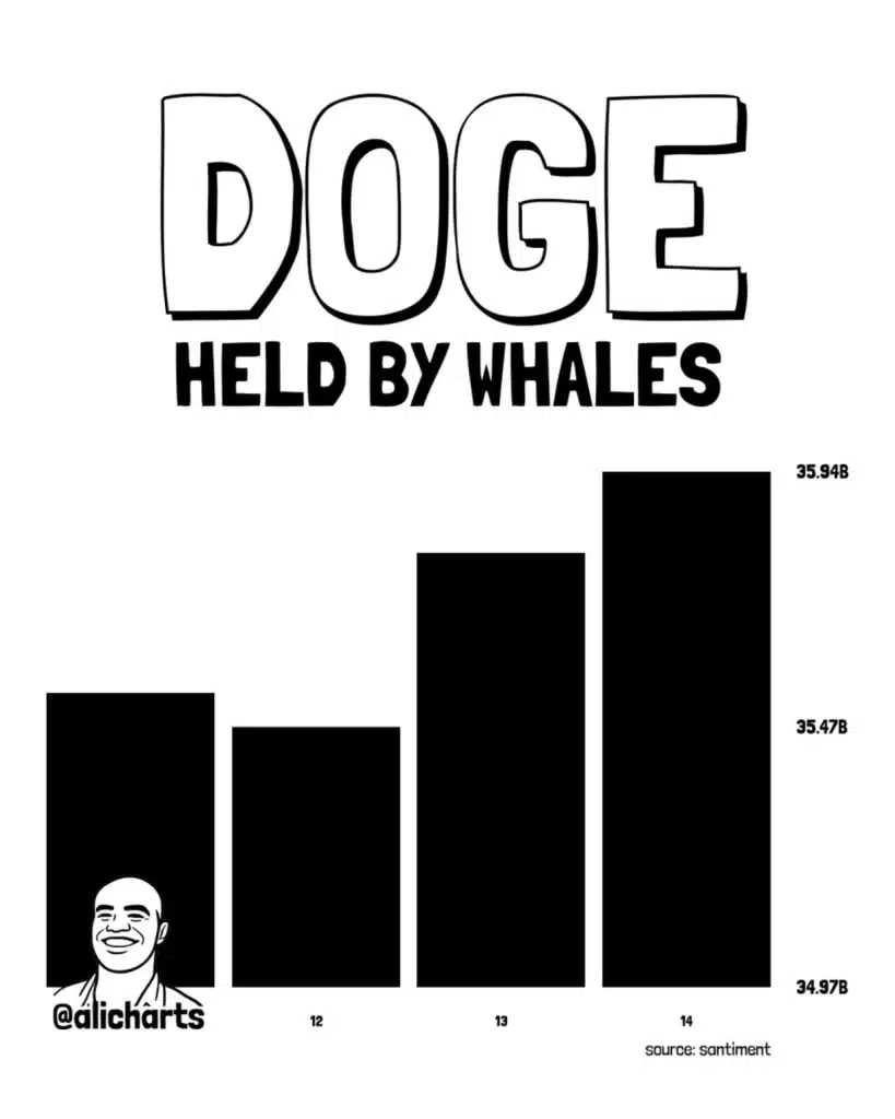DOGE held by whales.