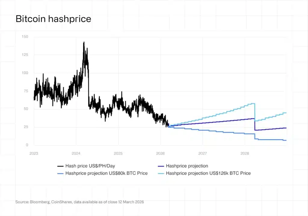 Bitcoin hashprice.