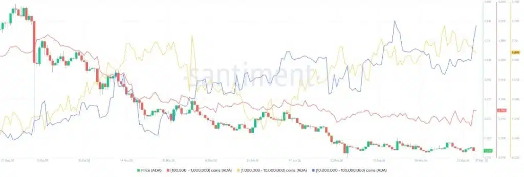 Cardano’s Big Bank Moment: Why Whales Are Buying the Dip Most Traders Are Ignoring