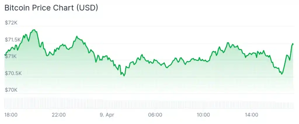 Bitcoin price 24-hour chart.