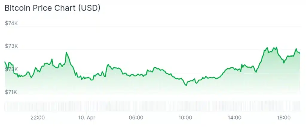 Bitcoin price 24-hour chart.