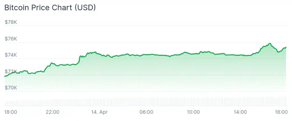 Bitcoin price 24-hour chart.