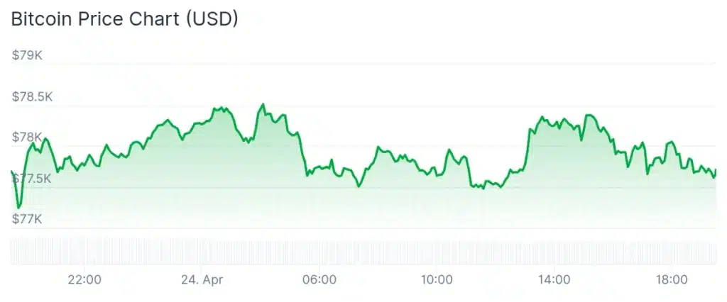 Bitcoin price 24-hour chart.