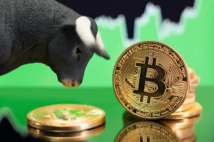 Green Returns to Crypto, Bitcoin After Bloodbath Week