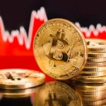 Long-Term Bitcoin Holders Accumulate, Signaling Potential Bottom