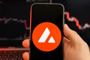 Something Is Changing on Avalanche: Network Fees Just Hit a Weekly High