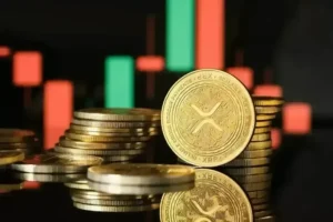 XRP Whale Activity Is Picking Up — The Next Price Move Could Be Significant