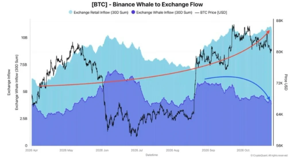 Bitcoin Retail Deposits Surge as Whale Behavior Signals a Growing Market Divide