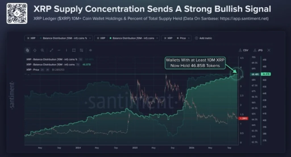 XRP Whales Control 68.5% of Supply — A Bullish Signal or a Risk?