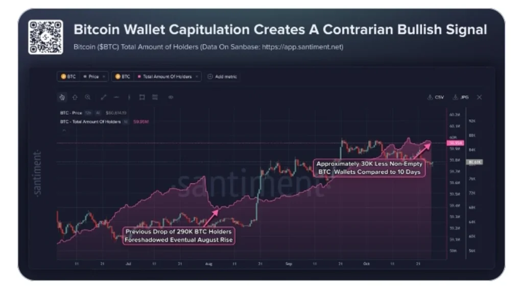 Bitcoin Loses 30K Wallets in Days as Smaller Holders Lose Patience