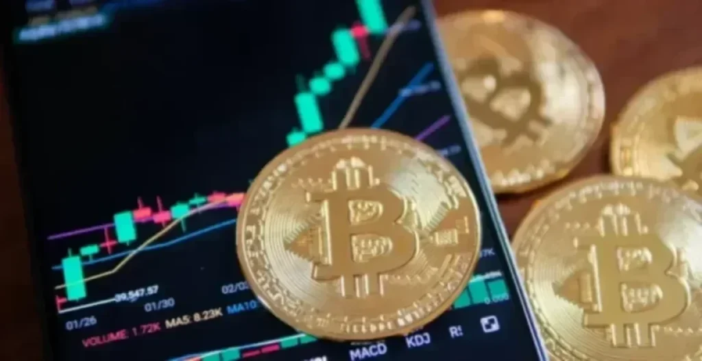 Bitcoin Whales Defy Price Volatility as Mid-Sized Wallets Reach Record Levels