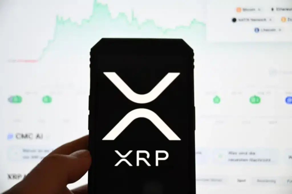 XRP Wallets Hit 8.24 Million as Network Growth Accelerates